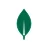 MongoDB